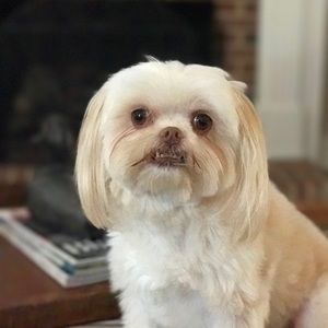 Meet your Posher, Stuart